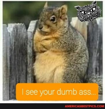 I see your dumb ass