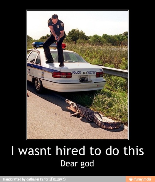 I wasnt hired to do this
Dear god - I wasnt hired to do this
Dear god