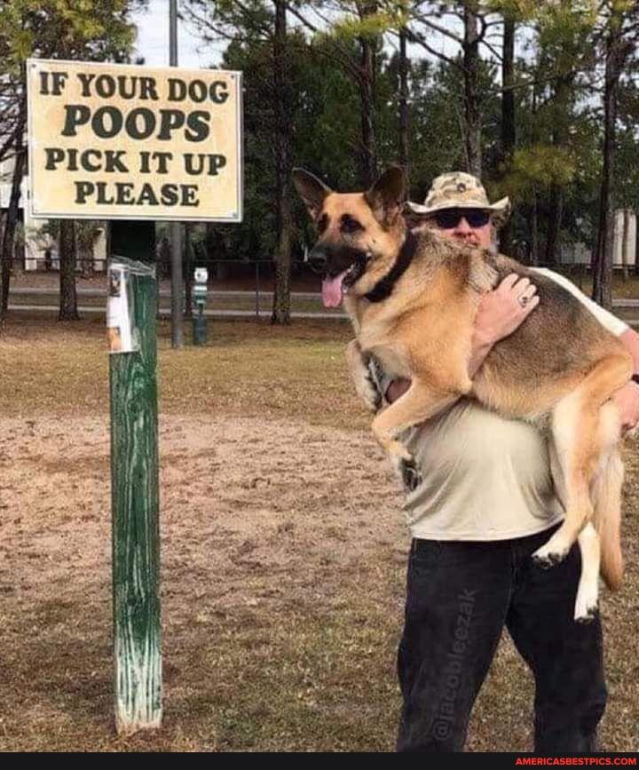 IF YOUR DoG I POOPS PICK IT UP I