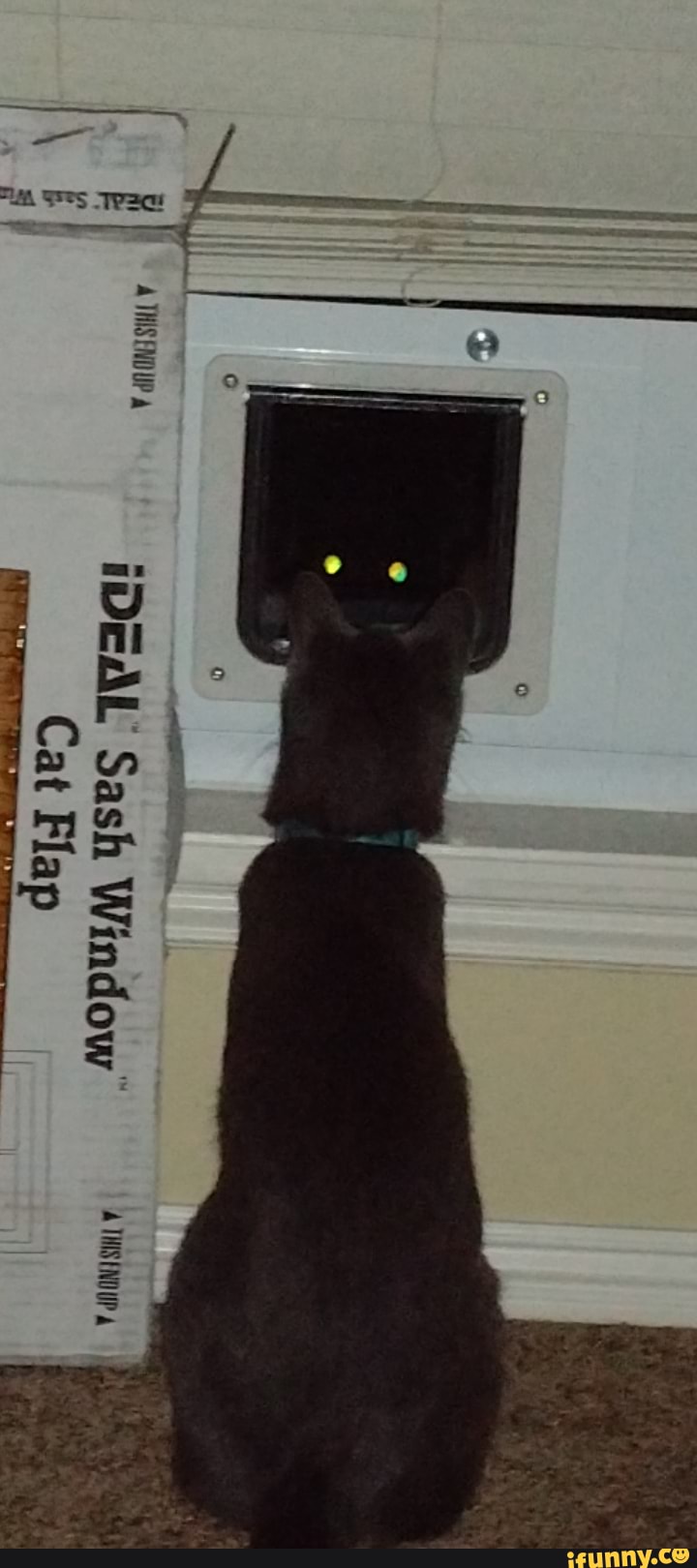 Recently put in a pet door for the cats....... )