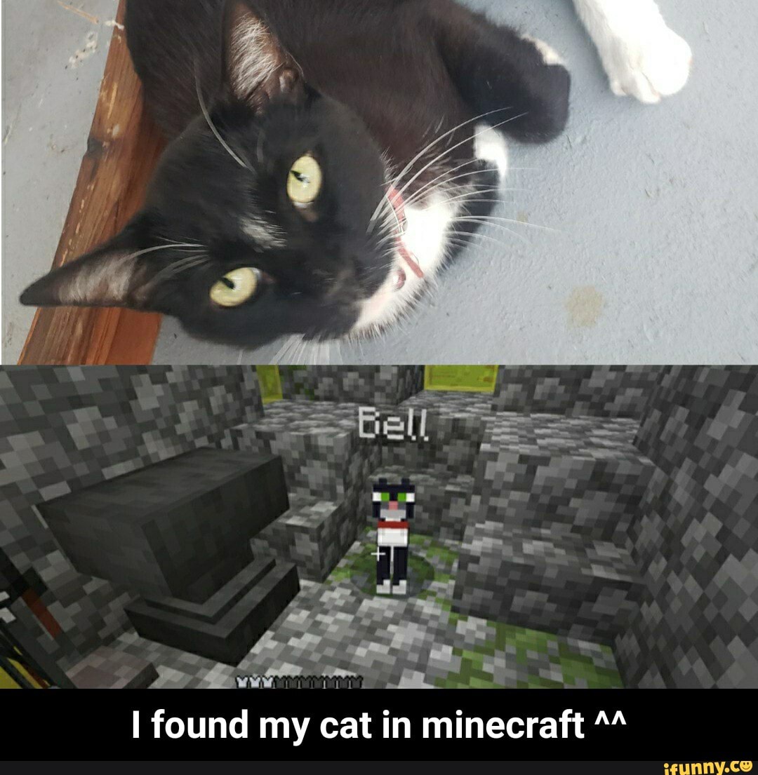 P ad _ found my cat in minecraft - I found my cat in minecraft ^^