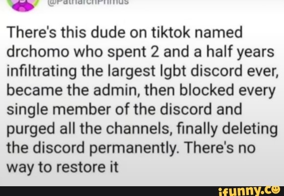 Theoe's. this dude on tiktok named drchamo who spent 2 and a half years  infiltrating the largest Igbt discord ever, became the admin, then blocked  every single member of the discord and