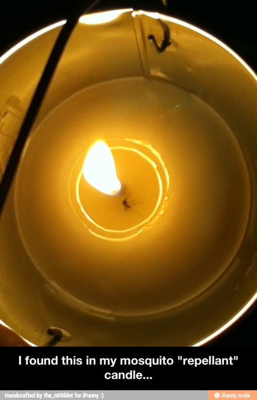 I found this in my mosquito "repellant" - I found this in my mosquito "repellant" candle...