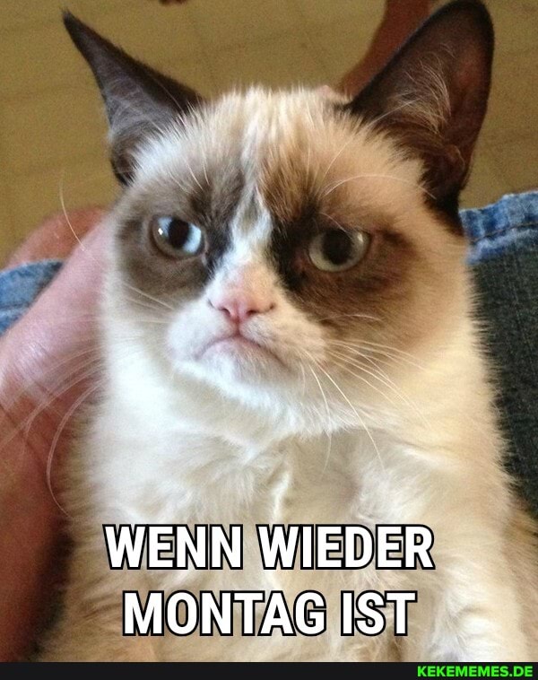 WENN WIEDER MONTAG IST