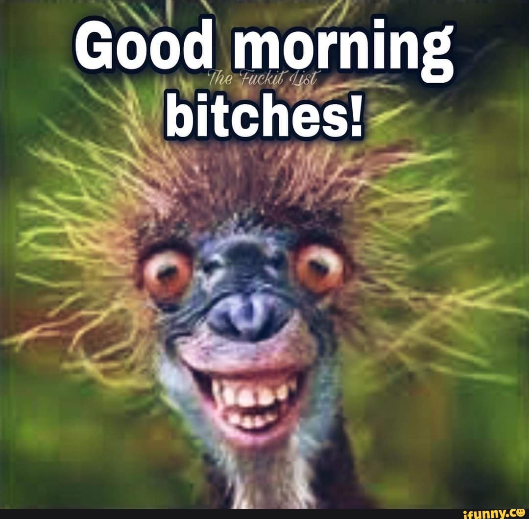 good morning bitches