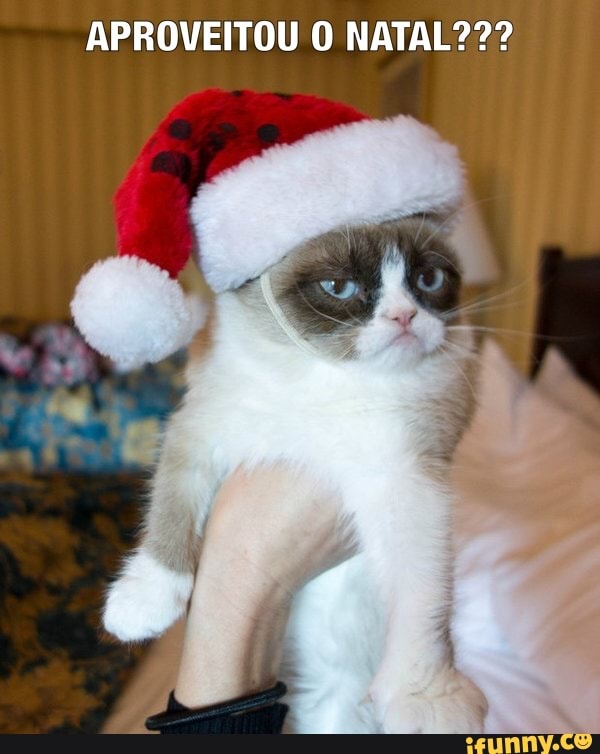 APROVEITOU O NATAL???