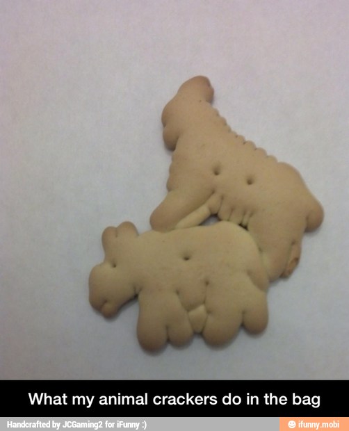 What my animal crackers do in the bag - What my animal crackers do in the bag