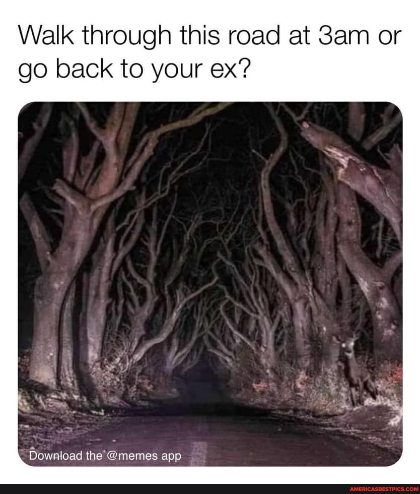 Walk through this road at or go back to your ex?
Download the @memes app