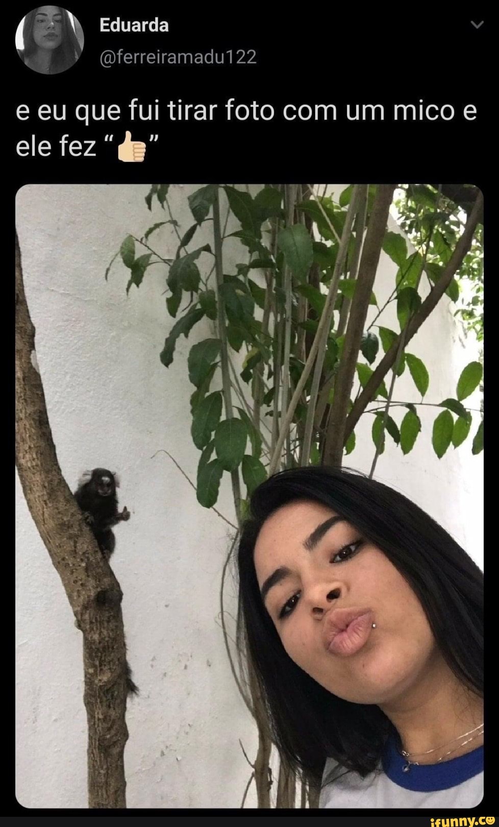Eduarda
e eu que fui tirar foto com um mico e ele fez da"
