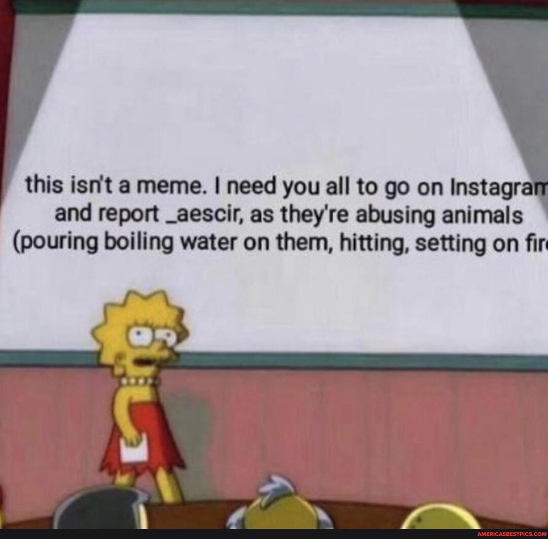 this isn't a meme. I need you all to go on Instagr and report _aescir, as they're abusing animals
(pouring boiling water on them, hitting, setting on fir
