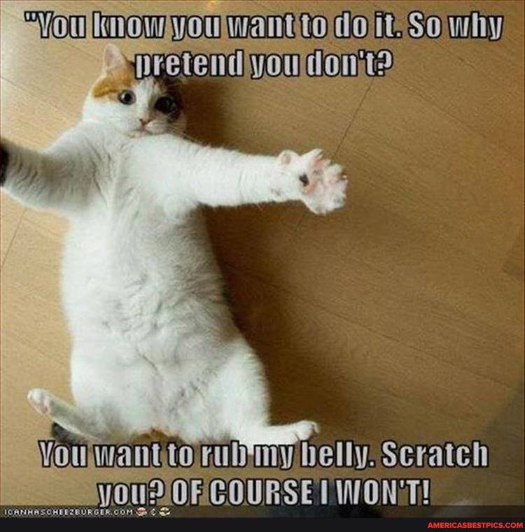 don.
toKnulyiny belly: Scratch
IQECOURSETINONGT!