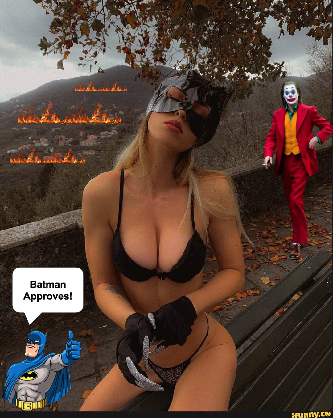 Batman
Approves!
NZ