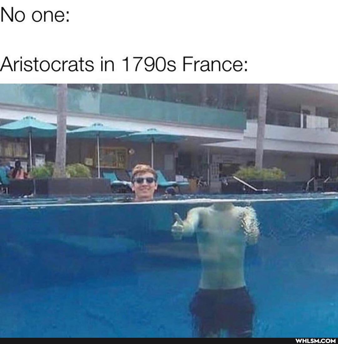 No one:
Aristocrats in 1790s France:
ad I