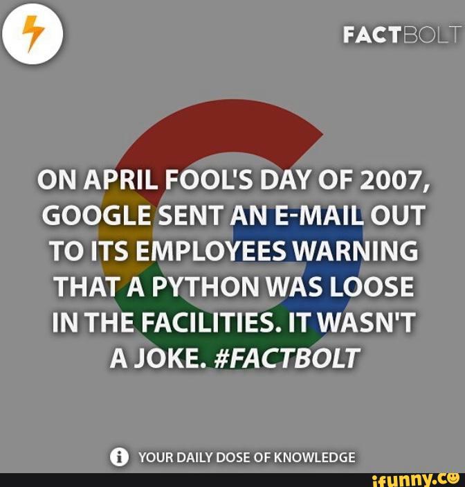 ON APRIL FOOL'S DAY OF 2007,
GOOGLE SENT AN E-MAIL OUT
TO ITS EMPLOYEES WARNING
THAT A PYTHON WAS LOOSE
IN THE FACILITIES. IT WASN'T
A JOKE. #FACTBOLT
0 YOUR DAILY DOSE OF KNOWLEDGE