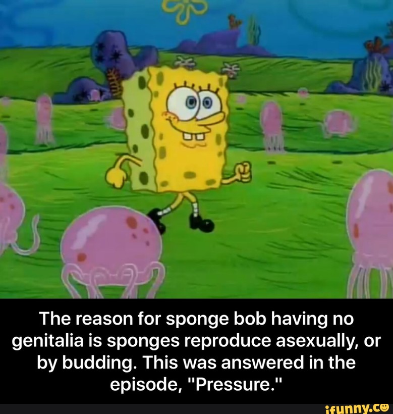 Sponge bob penis 💖 Spongebob Schwammkopf "Die Krosse Krabbe 