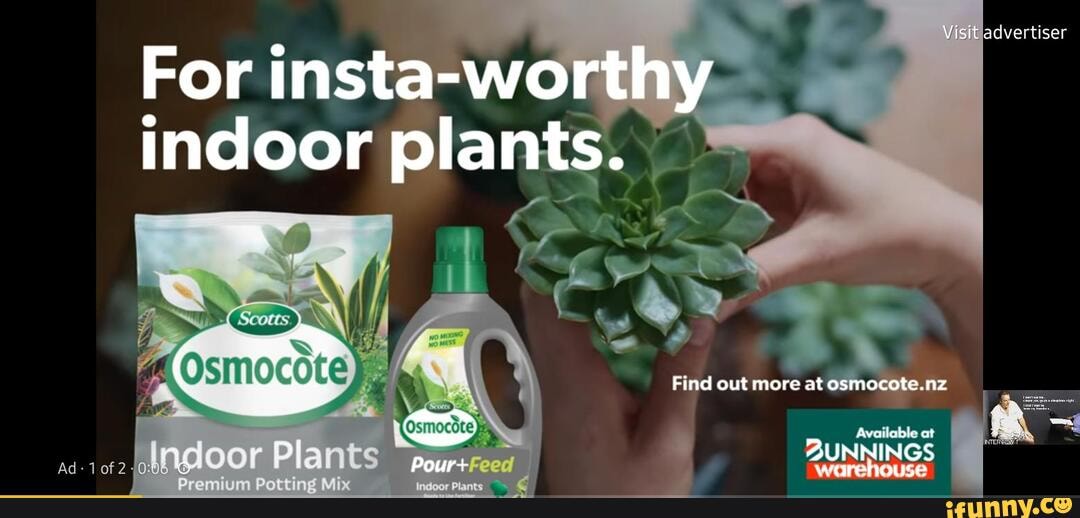 Visit advertiser For instaworthy indoor plants. Ad of 2; Find out