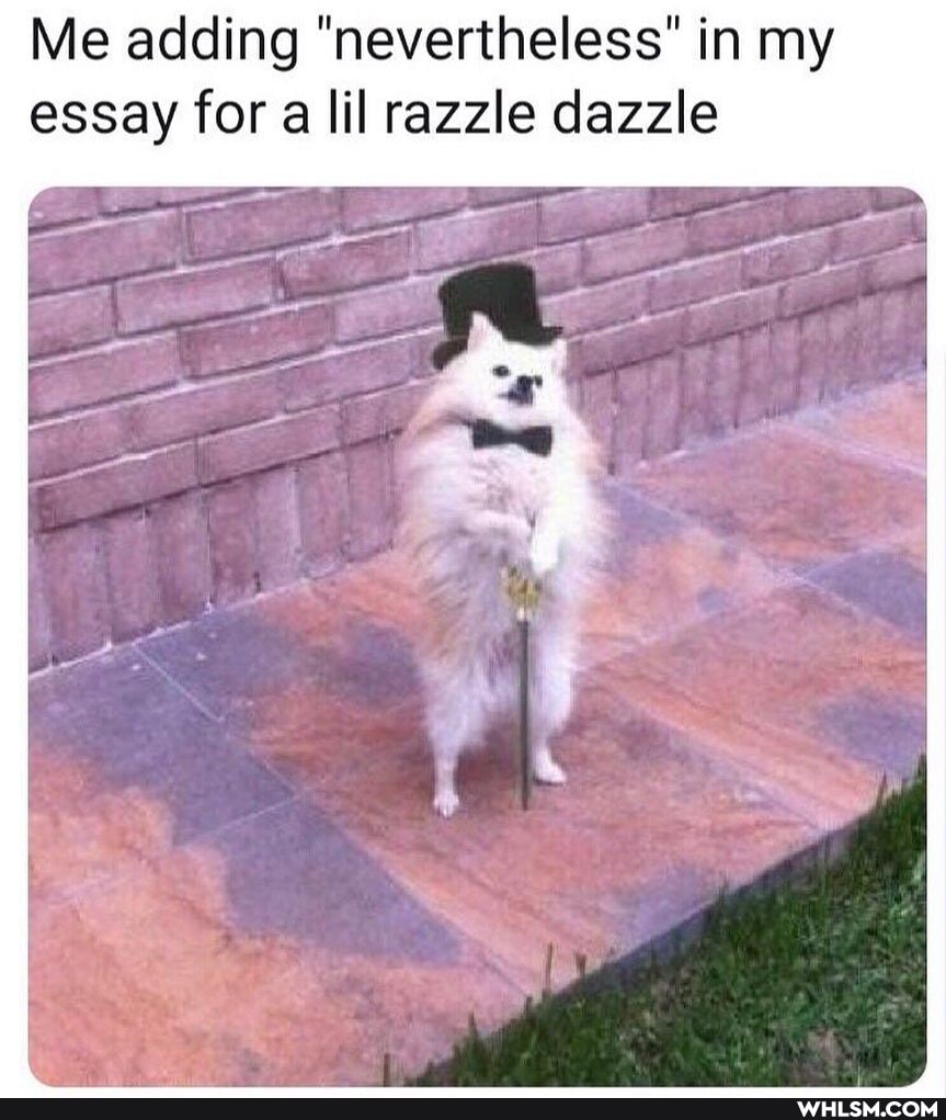 Me adding "nevertheless" in my essay for a lil razzle dazzle