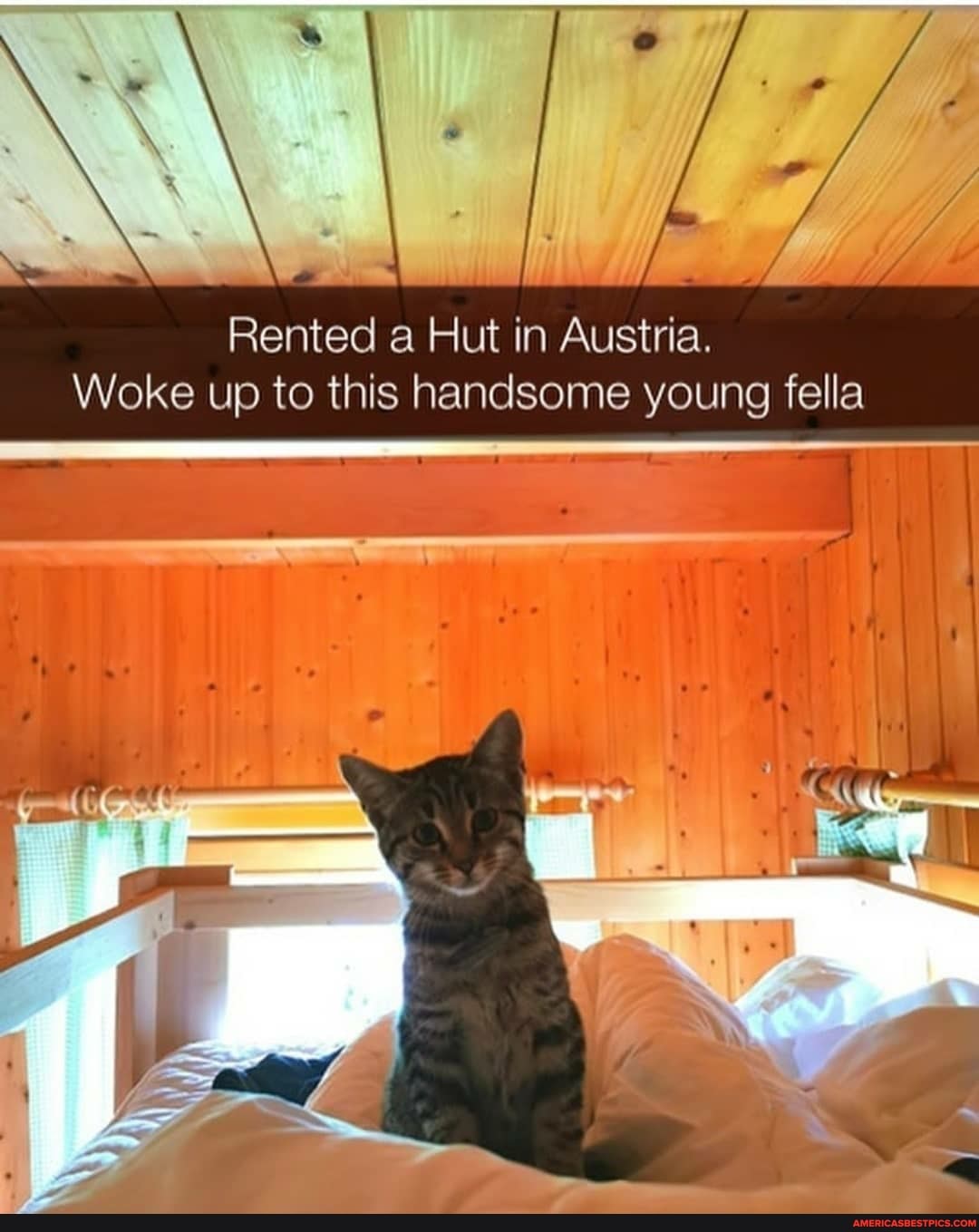 Rented a Hut in Austria.
Woke up to this handsome young fella
