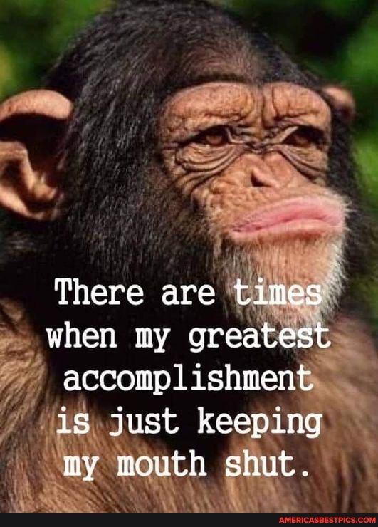 There are times when my greatest accomplishment is just keeping my ...