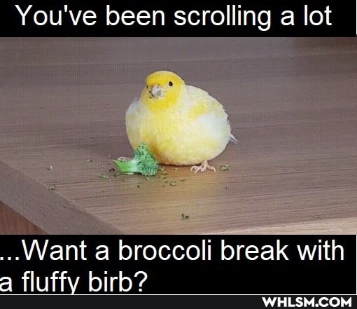 You've been scrolling a lot
Want a broccoli break with