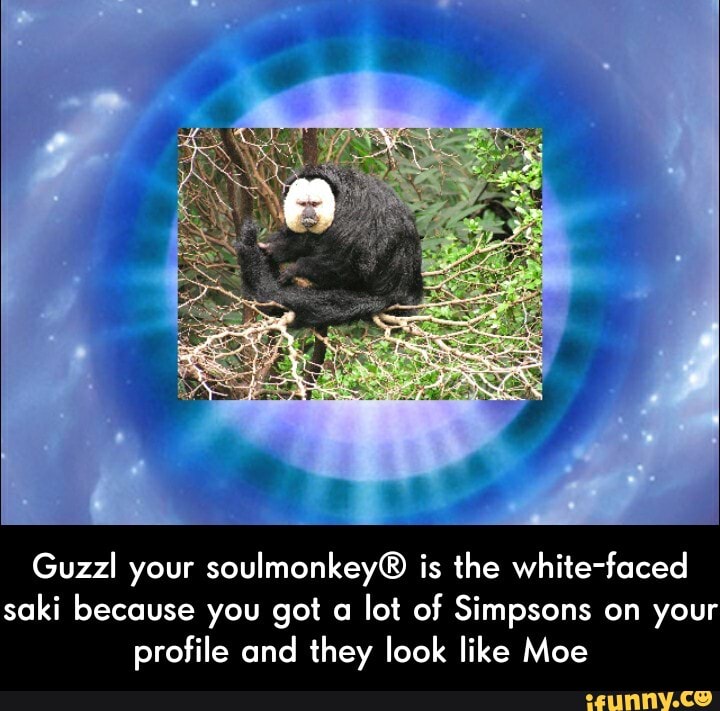 Guzzl your soulmonkey® is the white-faced
saki because you got a
lot of Simpsons on your
profile and they look like Moe - Guzzl your soulmonkey® is the white-faced saki because you got a lot of Simpsons on your profile and they look like Moe
