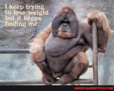 EN
trying weight