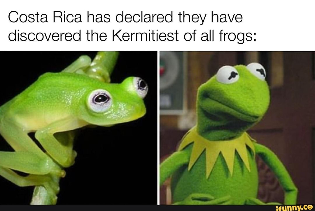 Costa Rica has declared they have discovered the est of all frogs: