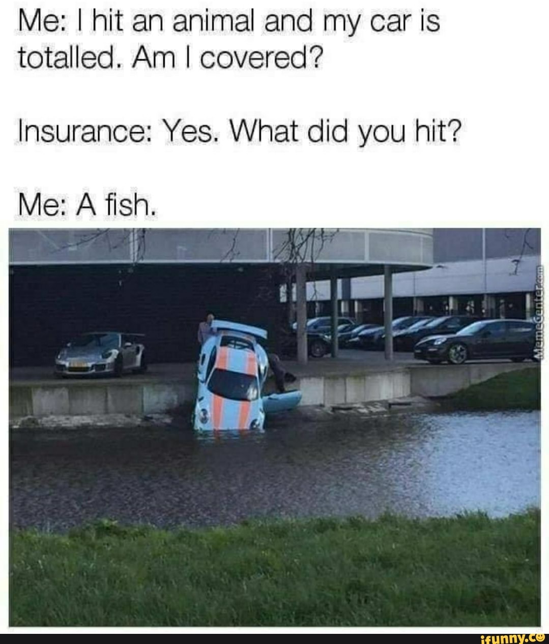 Me: I hit an animal and my car is
totalled. Am I covered?
Insurance: Yes. What did you hit?