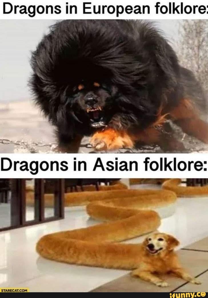 Dragons memes. Best Collection of funny Dragons pictures on iFunny