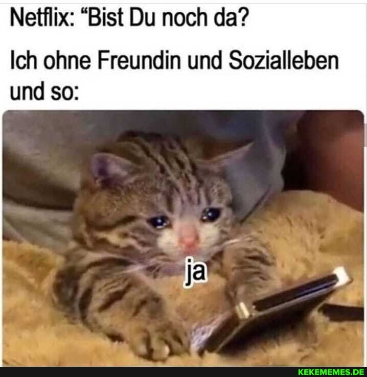 Netflix: "Bist Du noch da?
Ich ohne Freundin und Sozialleben und so: