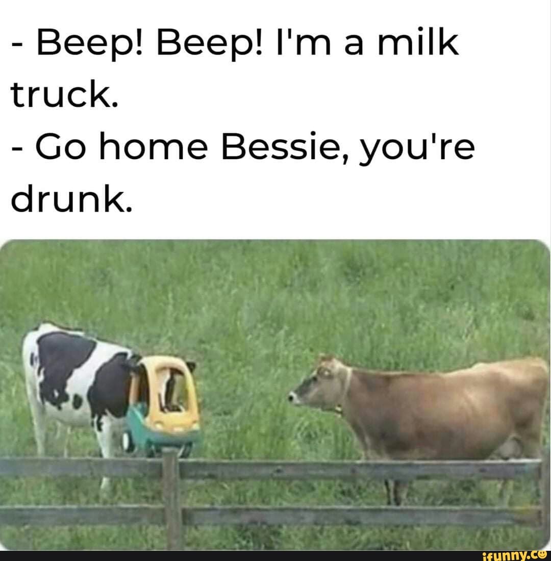Beep! Beep! I'm a milk truck. - Go home you're drunk. )