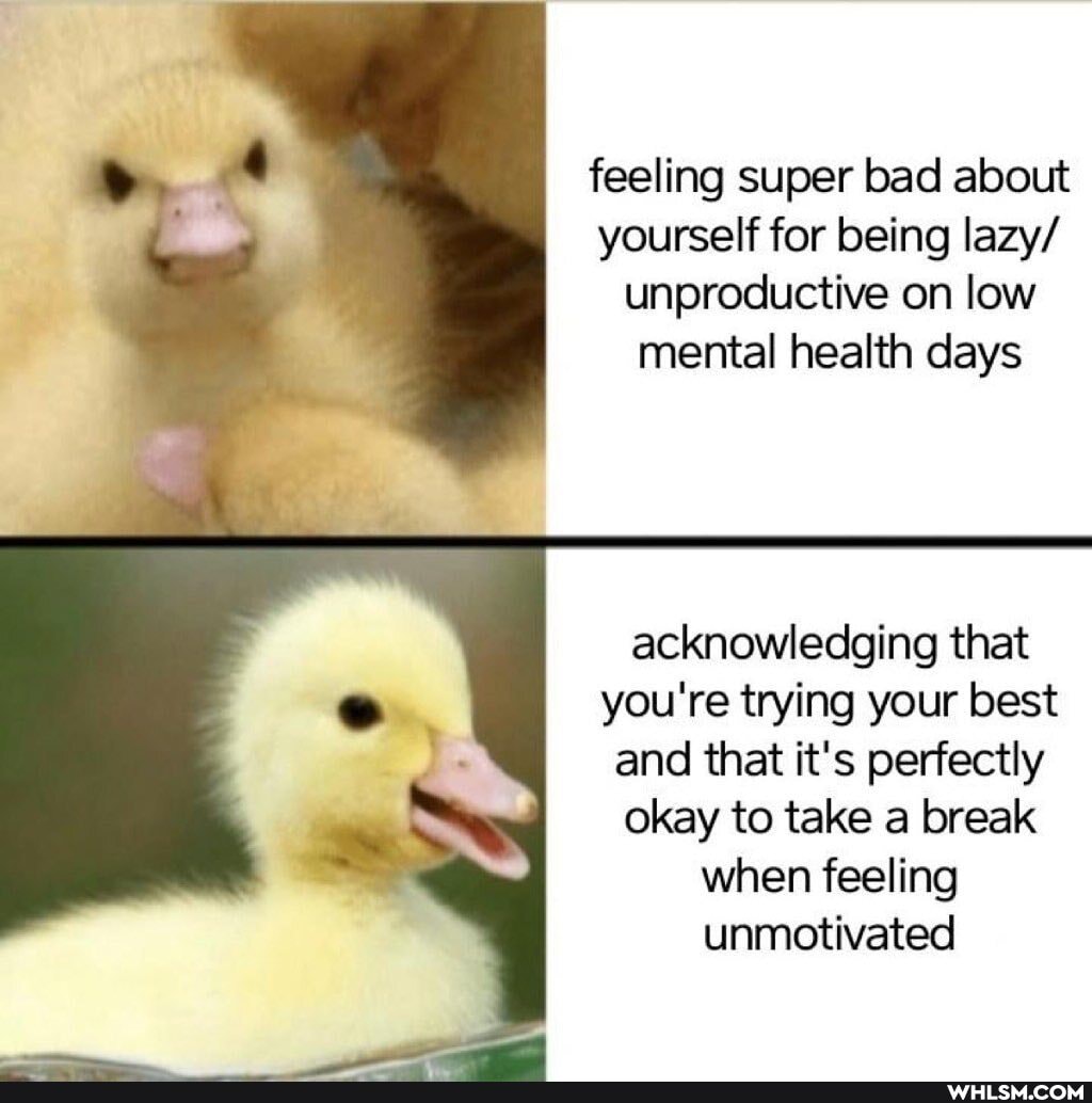 feeling super bad about
yourself for being lazy/ unproductive on low mental health days
acknowledging that you're trying your best and that it's perfectly okay to take a break when feeling unmotivated