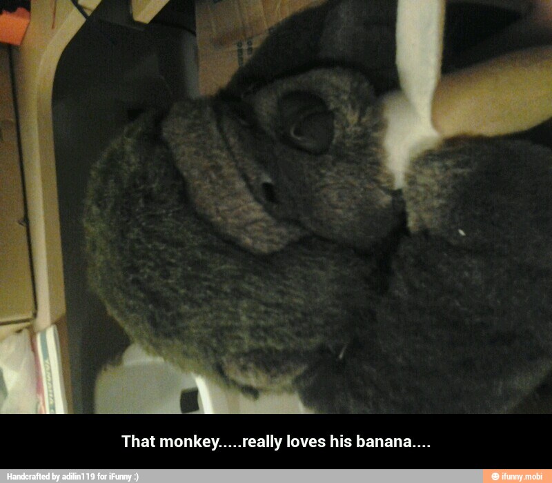That monkey.....really loves his banana.... - That monkey.....really loves his banana....