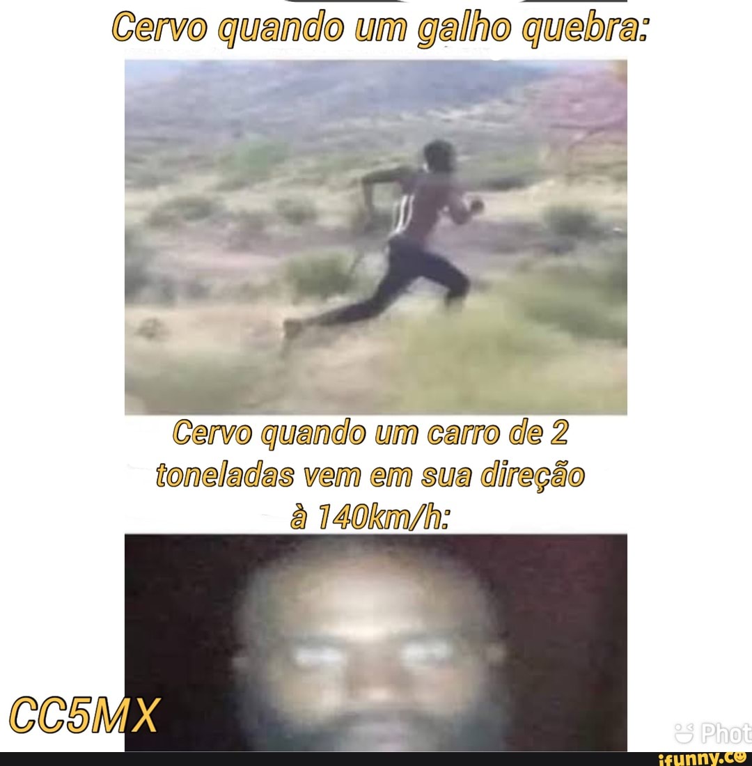 Cervo quando um galho quebra:
Cervo quando um carro de 2 toneladas vem em sua direção