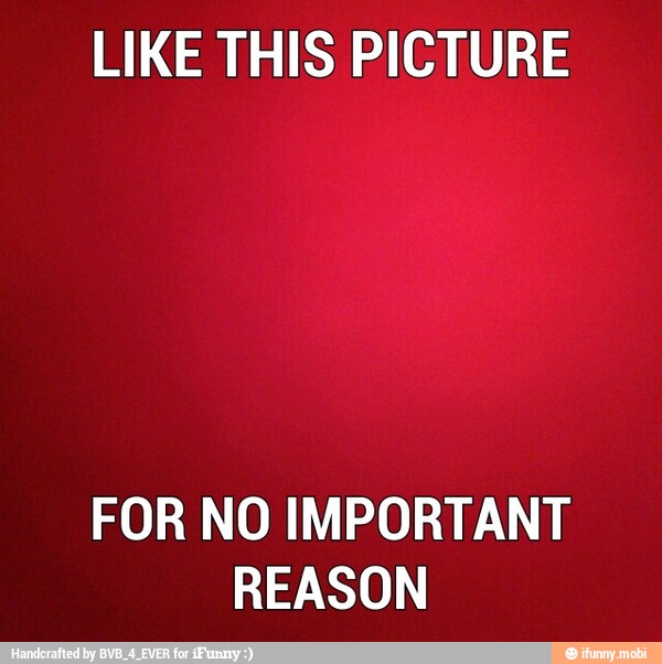 LIKE THIS PICTURE
FOR NO IMPORTANT
REASON