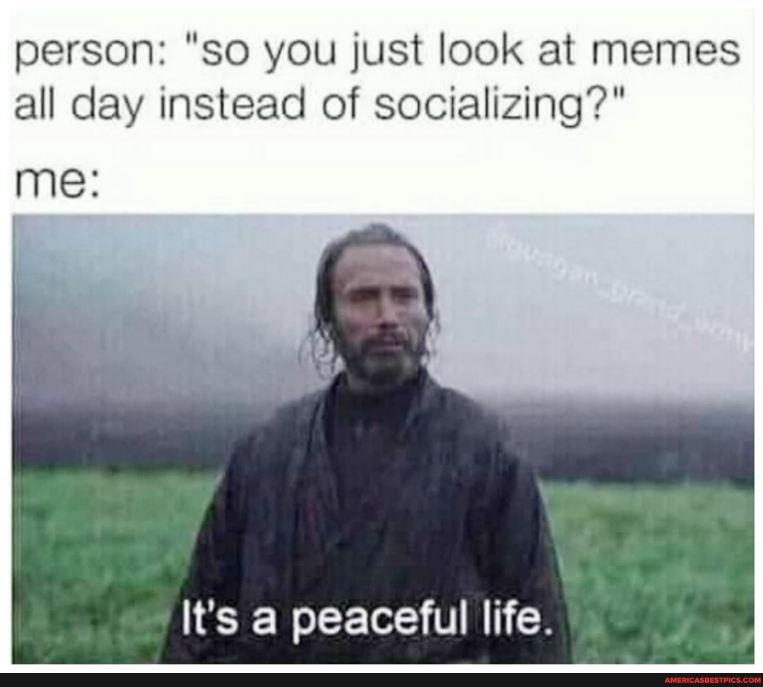 person: "so you just look at memes all day instead of socializing?"
me:
It's a peaceful life.