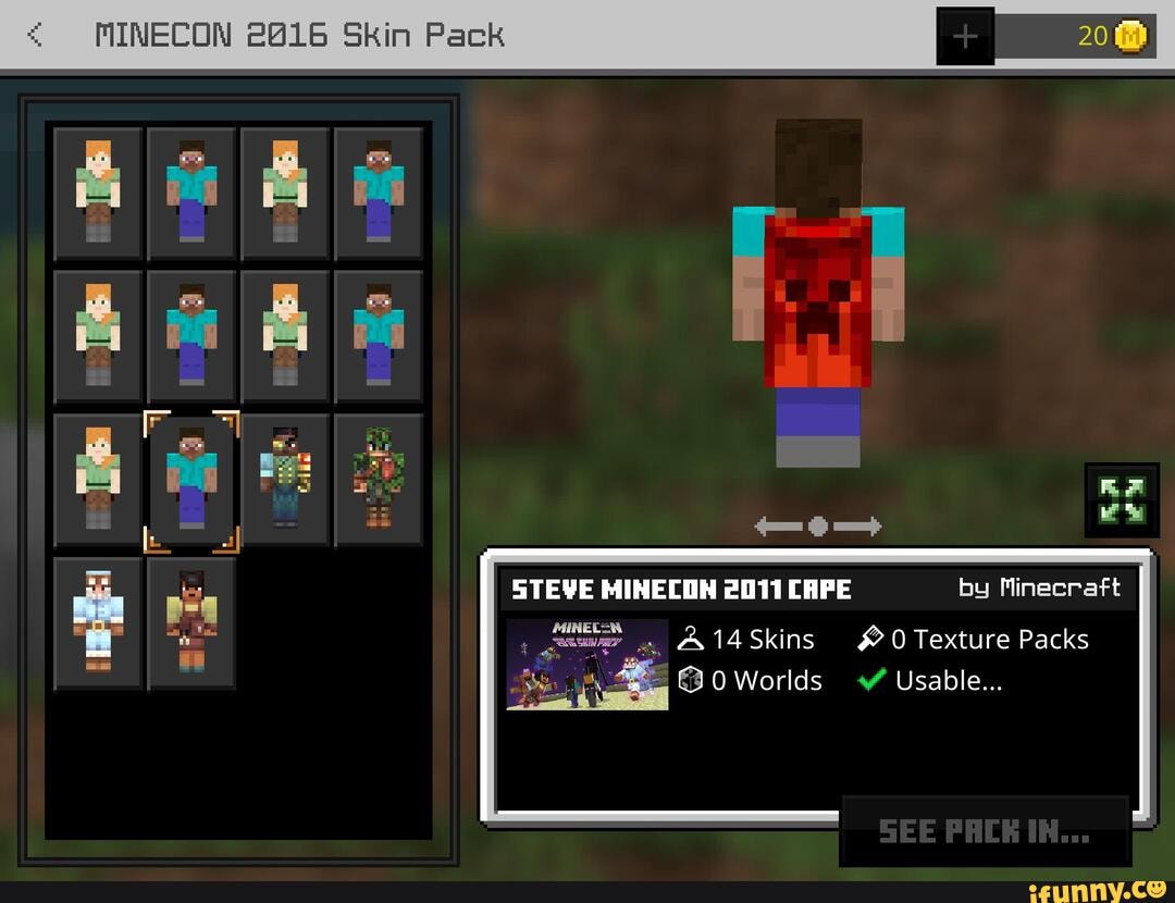 Minecraft News on X: A #MINECONEarth 2017 Skin Pack is available