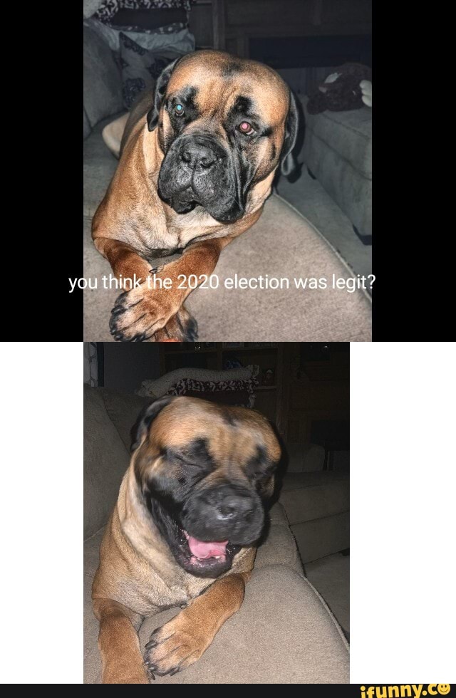 you think the 2020 election was legit?
AN