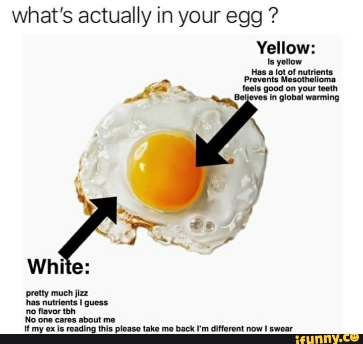 What's actually in your egg ? Yellow Is yellow Has a lot of nutrients Mesotheli Prevents