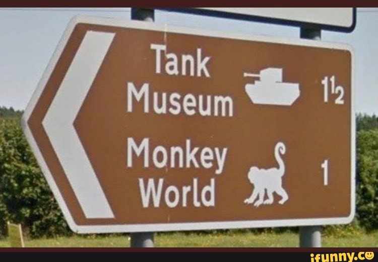 Tank Museum & Monkey World )