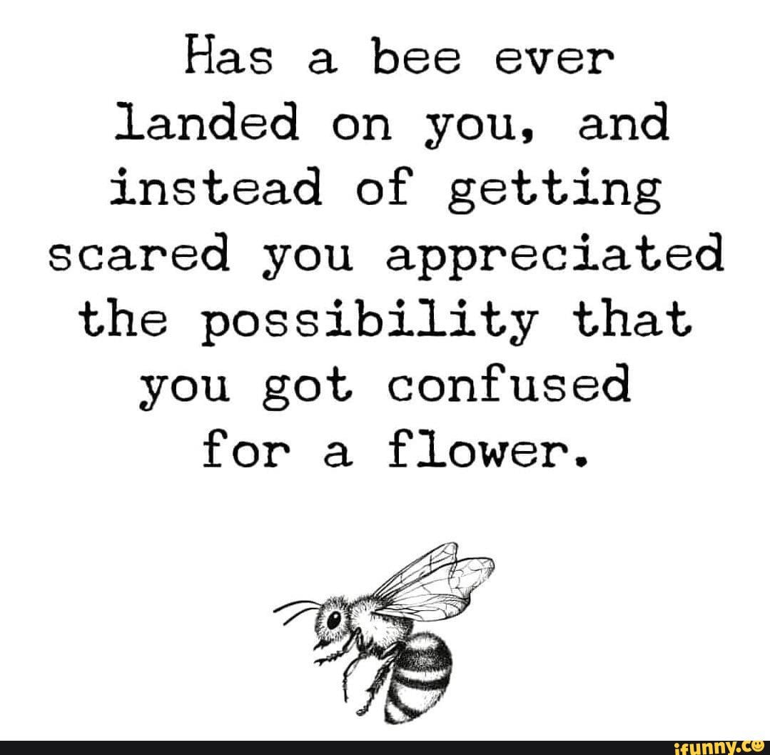 Has a bee ever landed on you, and instead of getting scared you ...