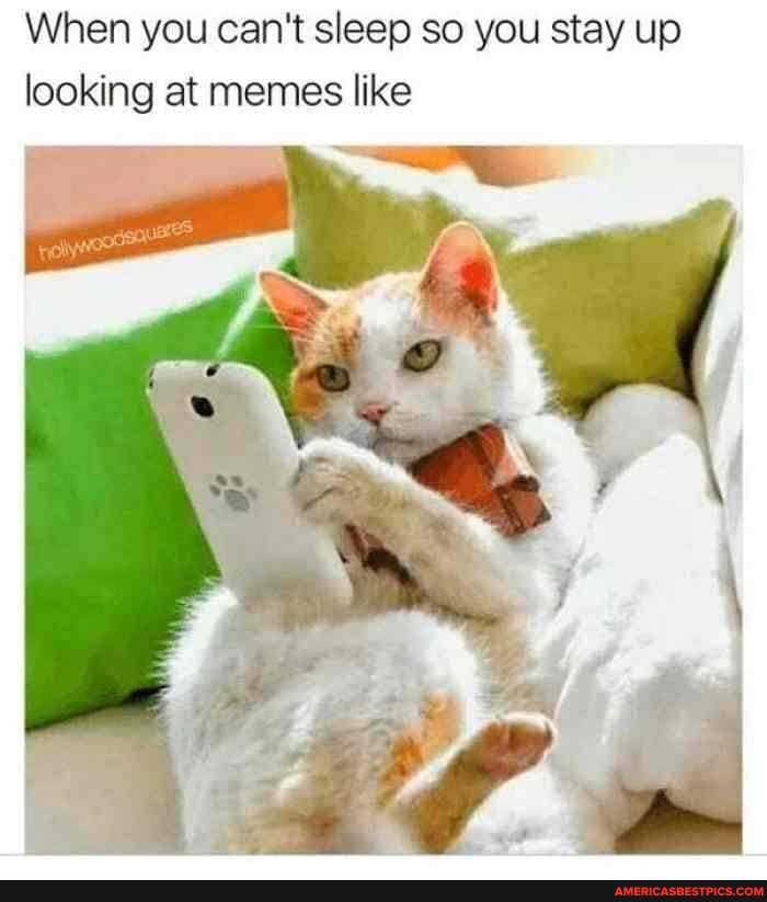 When you can't sleep so you stay up looking at memes like