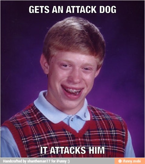 GETS AN ATTACK DOG