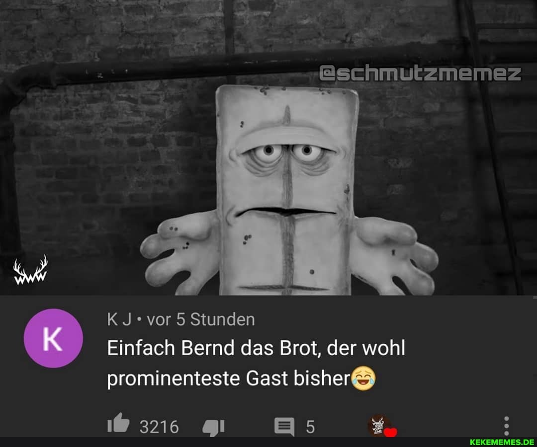 vor 5 Stunden
Einfach Bernd das Brot, der wohl prominenteste Gast bisher&)
3216