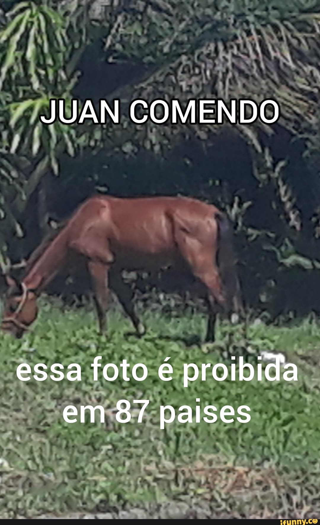 JUAN COMENDO
essa foto é proibida em 87 paises