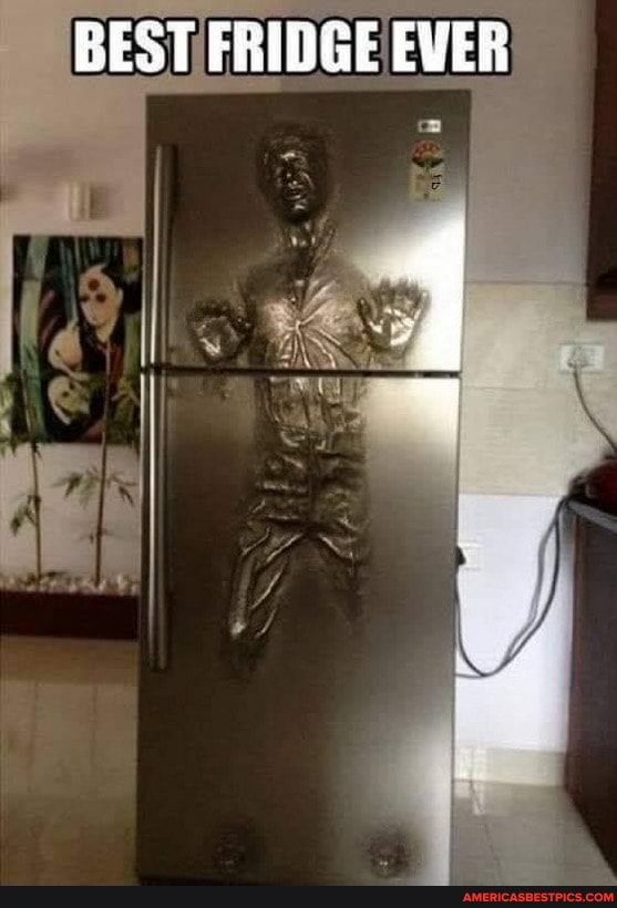 BEST FRIDGE EVER