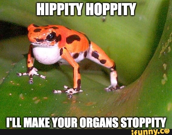 HIPPITY HOPPITY
I'LL MAKE YOUR ORGANS STOPPITY