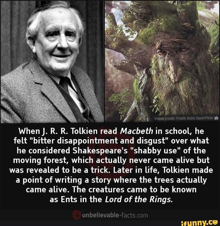 Disappointment essay example image