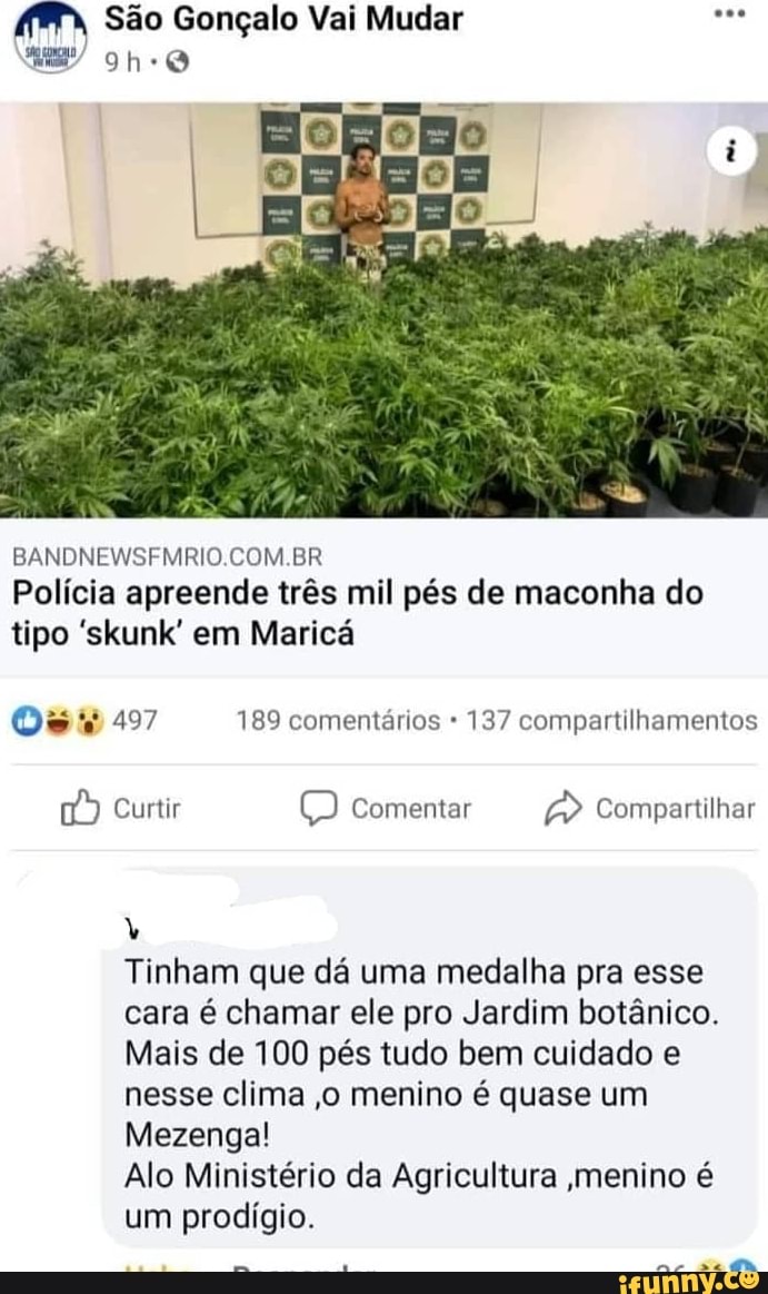 São Gonçalo Vai Mudar
COM BR
Polícia apreende três mil pés de maconha do tipo 'skunk' em Maricá
Os 497 189 comentários 137 compartilhamentos
Curtir Comentar Compartilhar
Tinham que dá uma medalha pra esse cara é chamar ele pro Jardim botânico.
Mais de 100 pés tudo bem cuidado e nesse clima ,o menino é quase um
Mezenga!
Alo Ministério da Agricultura menino é um prodígio.
ar canião: