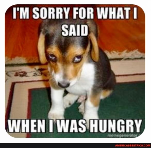 I'M SORRY FOR WHAT I AID
WHEN WAS HUNGRY